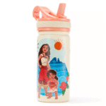 Moana and Simea 14oz. Stainless Steel Water Bottle with Built-In Straw – Moana 2