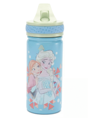 Frozen 14oz. Stainless Steel Water Bottle with Built-In Straw