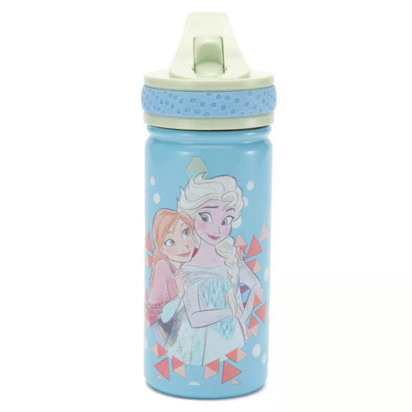 Frozen 14oz. Stainless Steel Water Bottle with Built-In Straw