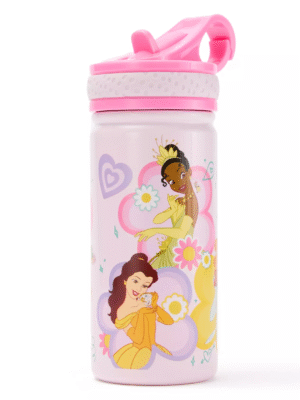 Disney Princess 14oz. Stainless Steel Water Bottle with Built-In Straw