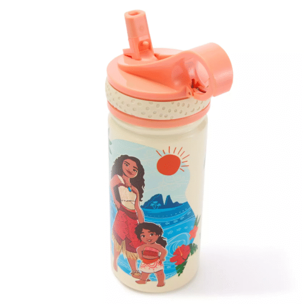 Moana and Simea 14oz. Stainless Steel Water Bottle with Built-In Straw – Moana 2