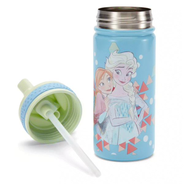 Frozen 14oz. Stainless Steel Water Bottle with Built-In Straw